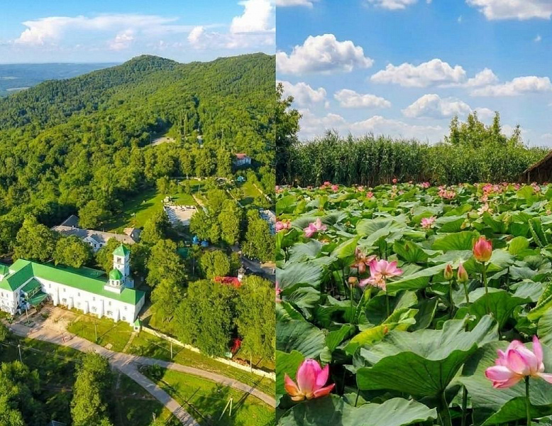 Цветущие Лотосы, Адыгея, Афон и ревущий Руфабо (25 июля, суббота)